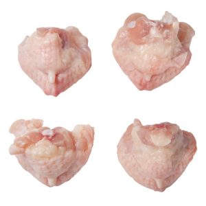 chicken-tails