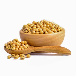 soybean
